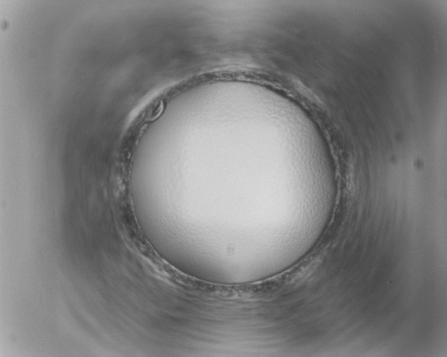 X0000052551400200507291904