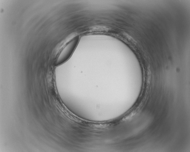 X0000052551401200507291904