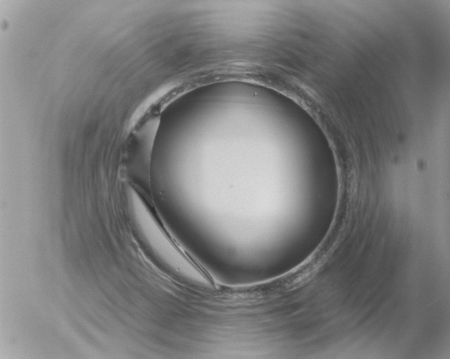 X0000052551402200507291904