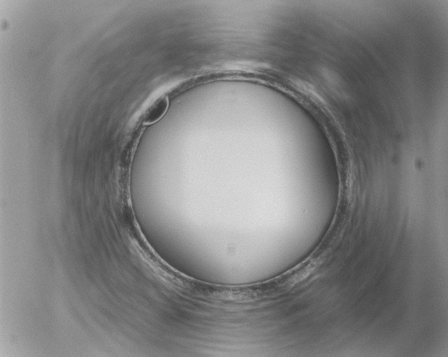 X0000052551404200507291904