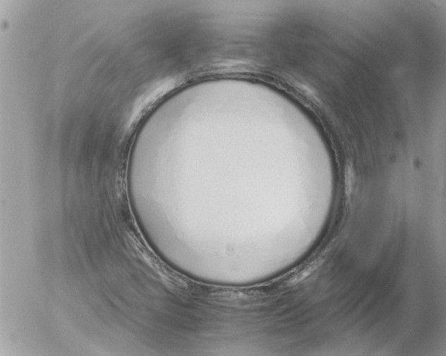 X0000052551405200507291904