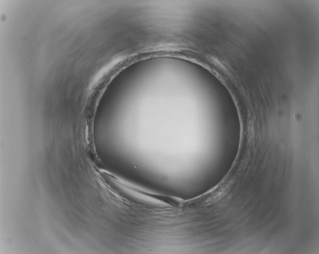 X0000052551406200507291904