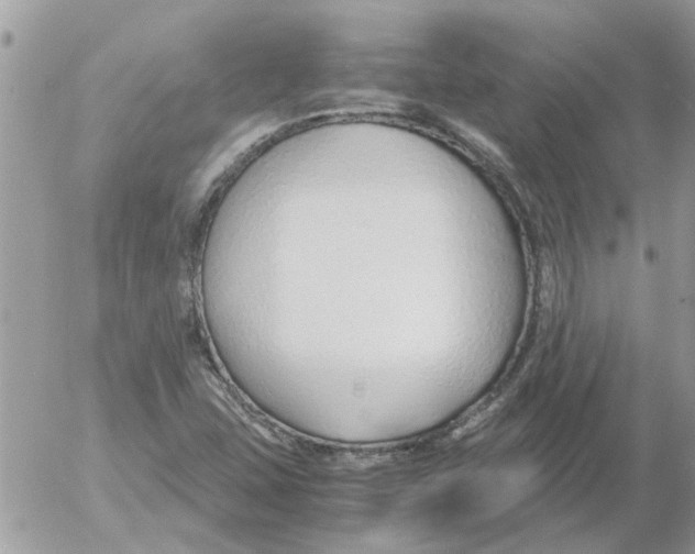 X0000052551407200507291904