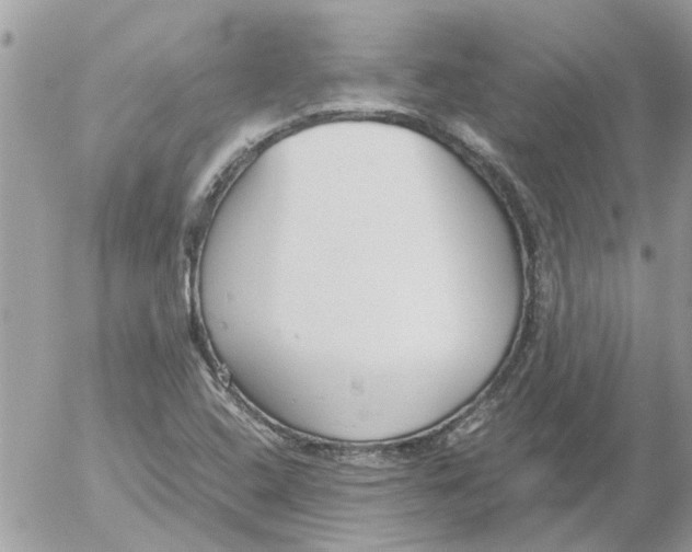 X0000052551408200507291904