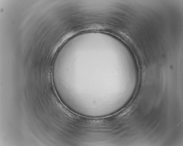 X0000052551409200507291904