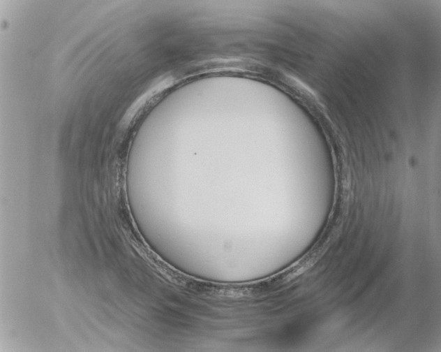 X0000052551411200507291904