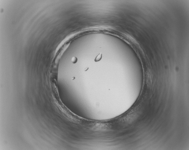 X0000052551412200507291904