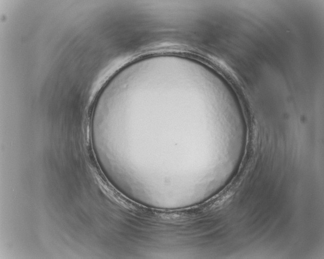 X0000052551413200507291904