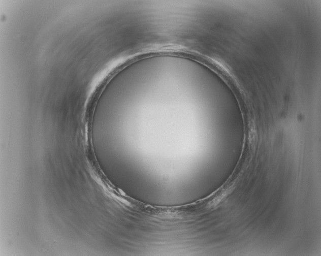 X0000052551414200507291904