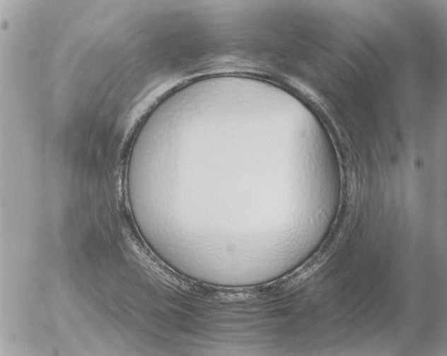 X0000052551415200507291904