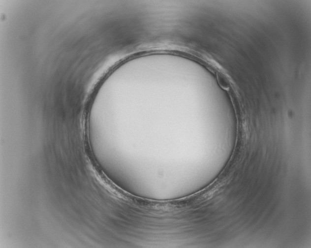 X0000052551416200507291904