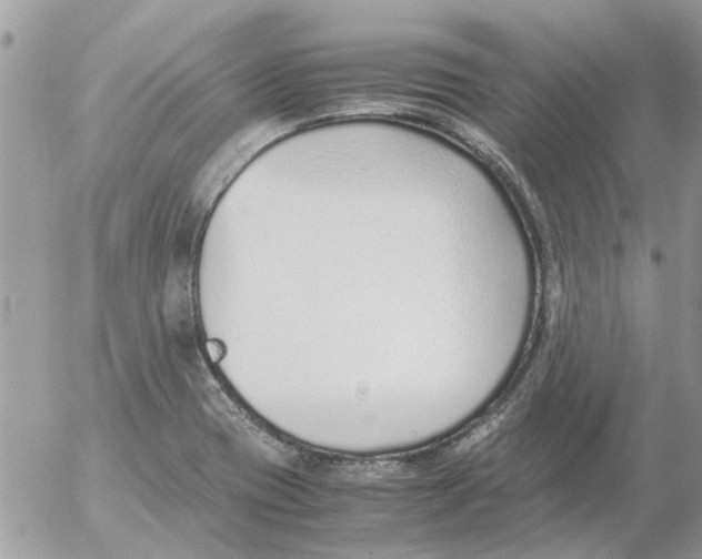 X0000052551417200507291904