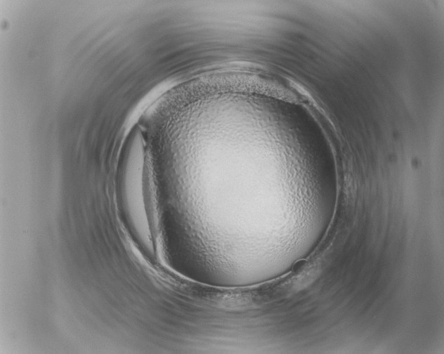 X0000052551418200507291904