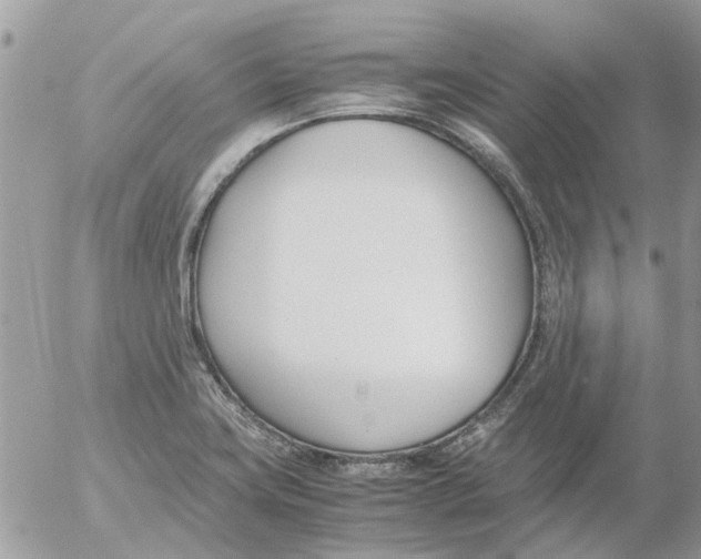 X0000052551419200507291904