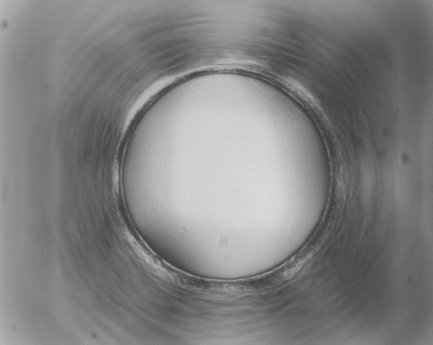 X0000052551420200507291904