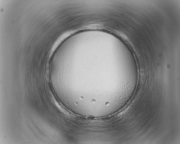 X0000052551421200507291904