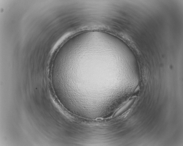 X0000052551422200507291904