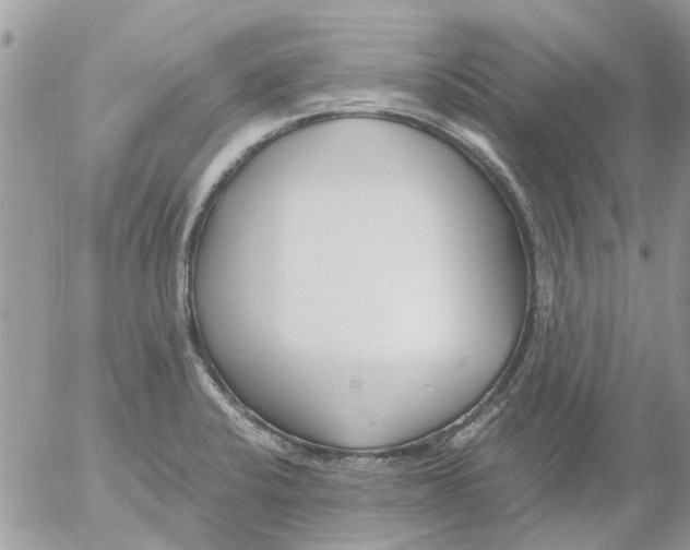 X0000052551424200507291904