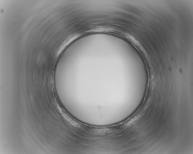 X0000052551425200507291904