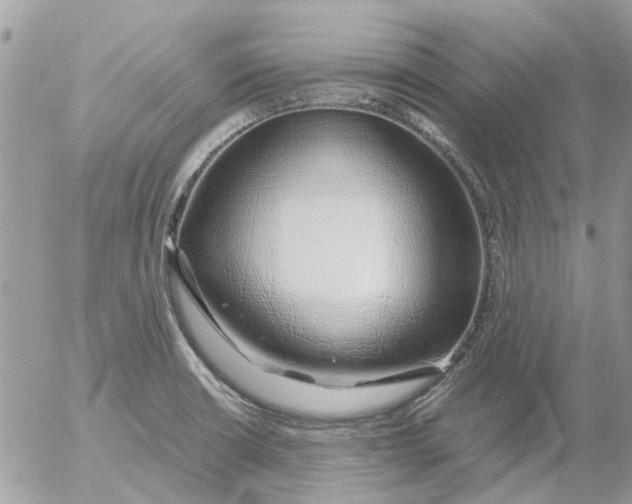 X0000052551426200507291904