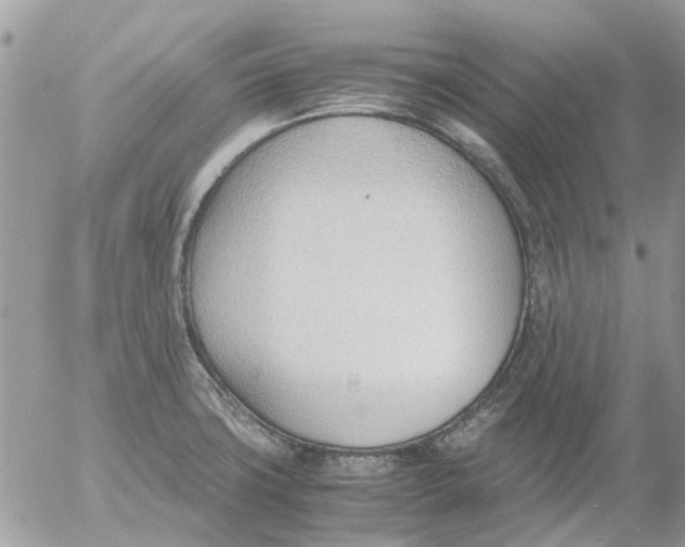 X0000052551427200507291904