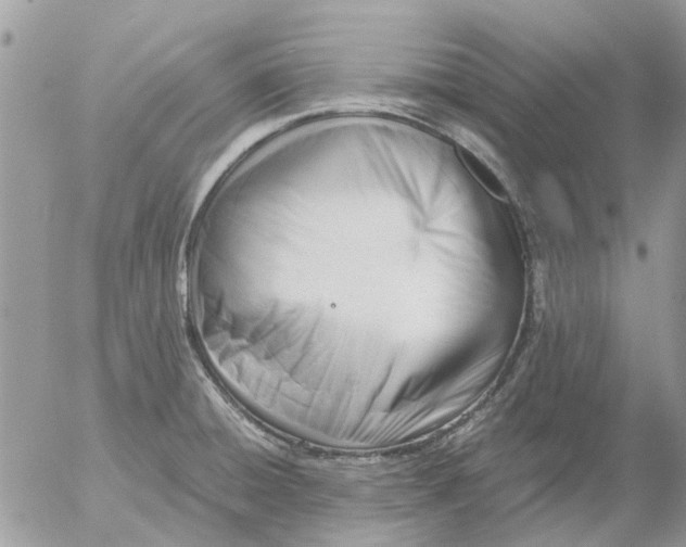 X0000052551428200507291904