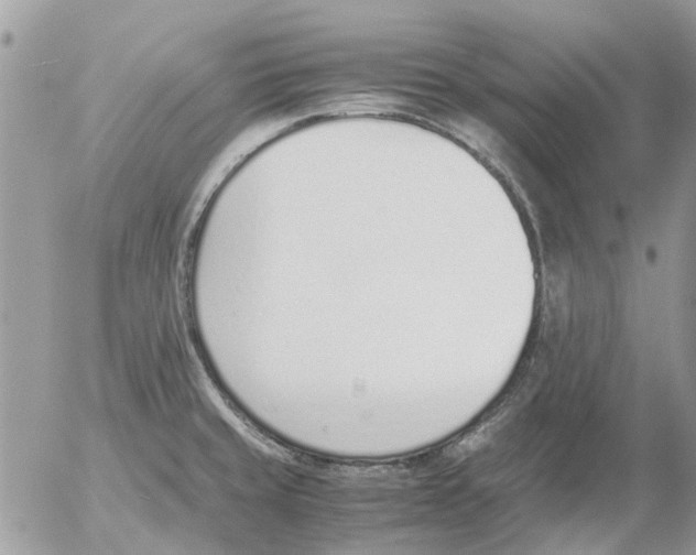 X0000052551429200507291904