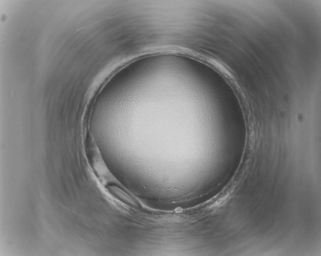 X0000052551430200507291904