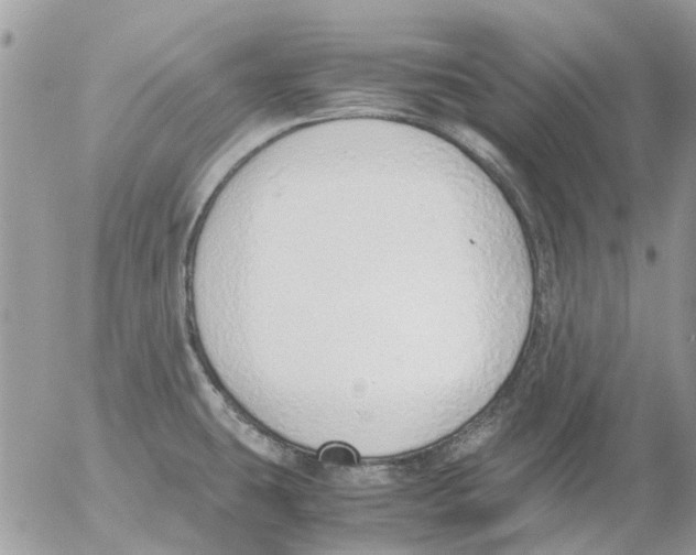 X0000052551431200507291904