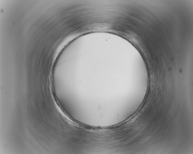 X0000052551432200507291904