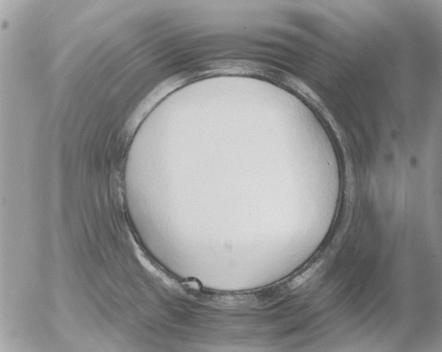 X0000052551433200507291904