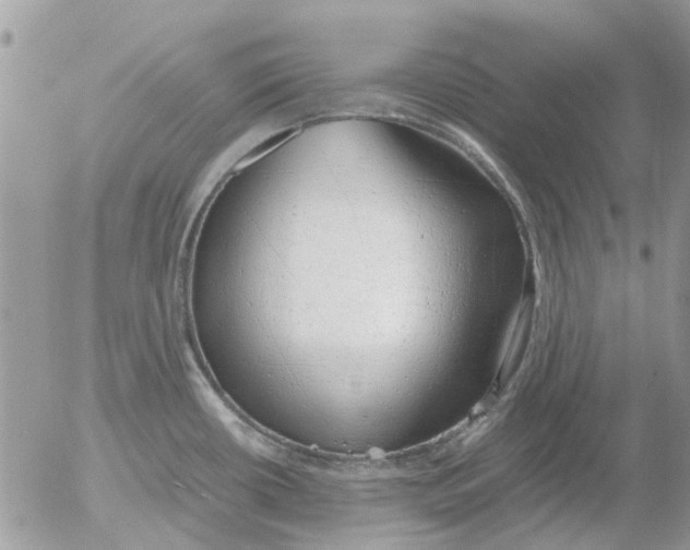 X0000052551434200507291904