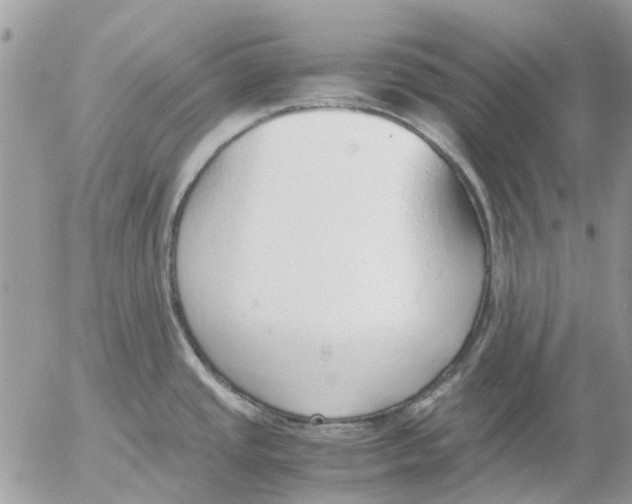 X0000052551437200507291904