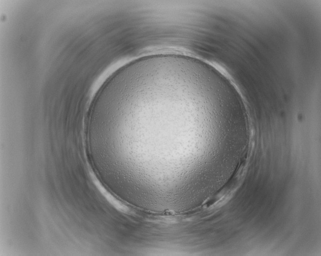 X0000052551438200507291904