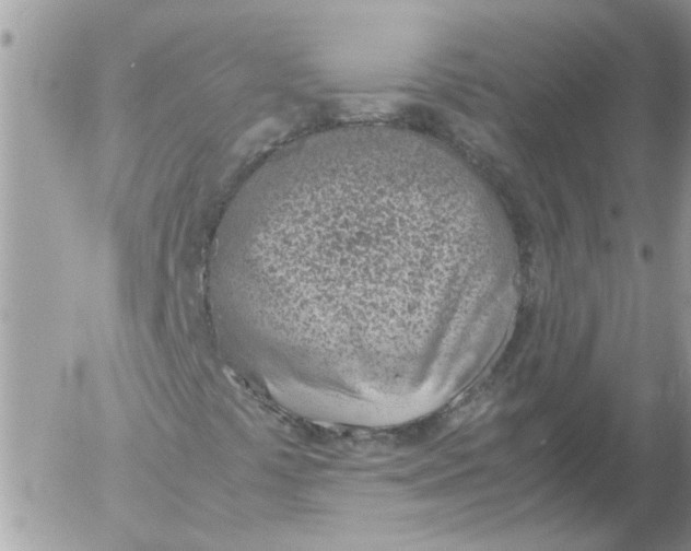 X0000052551441200507291904