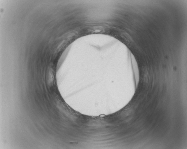 X0000052551442200507291904