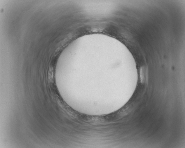 X0000052551443200507291904