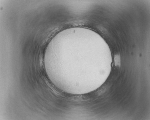 X0000052551444200507291904