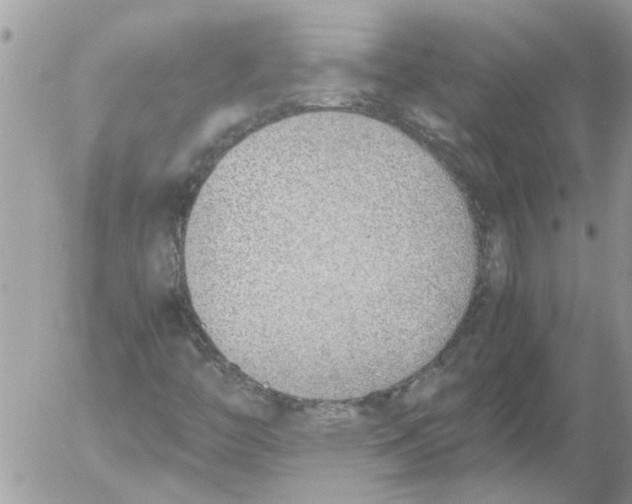 X0000052551446200507291904