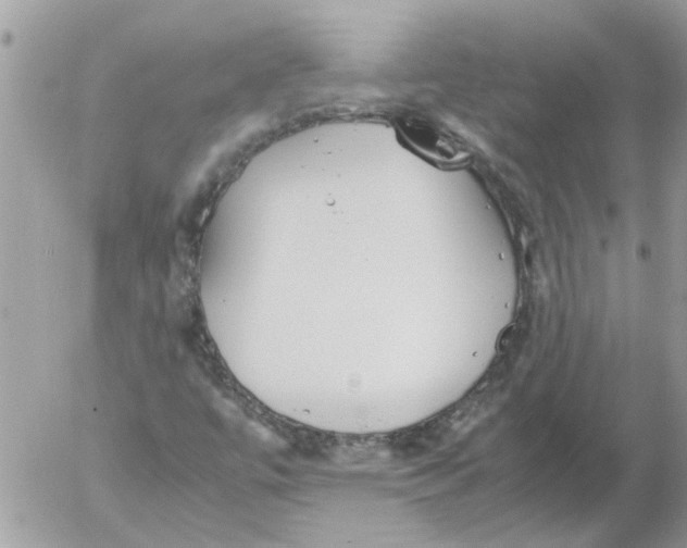 X0000052551447200507291904