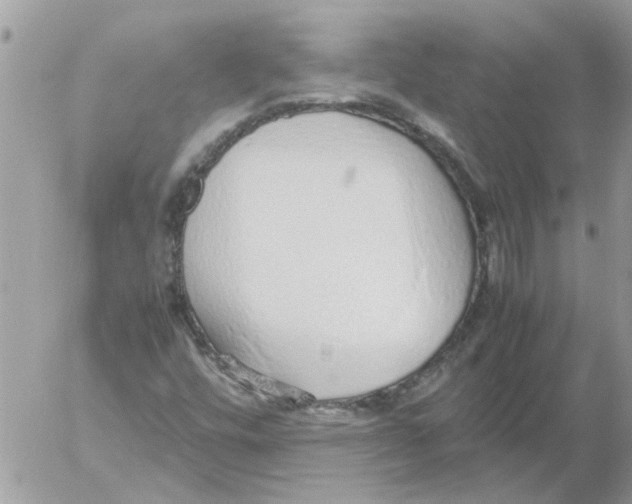 X0000052551448200507291903