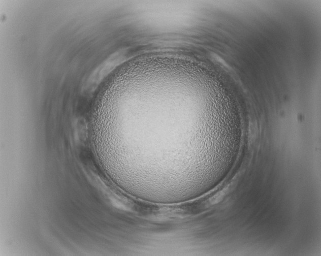 X0000052551449200507291903