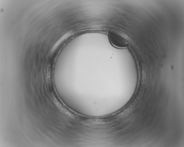 X0000052551450200507291903