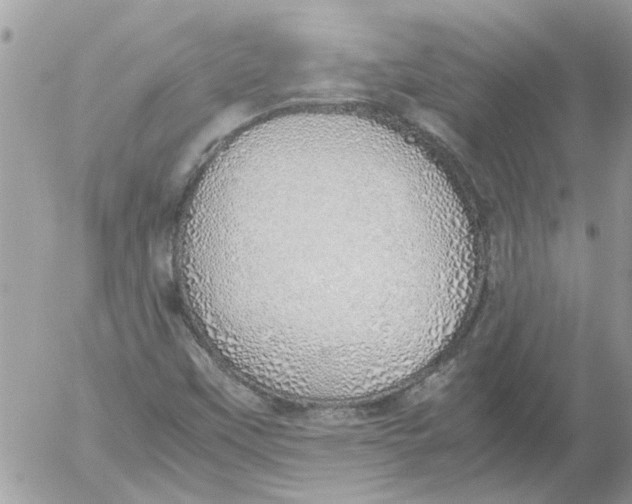 X0000052551451200507291903