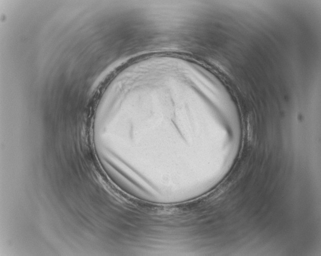 X0000052551452200507291903