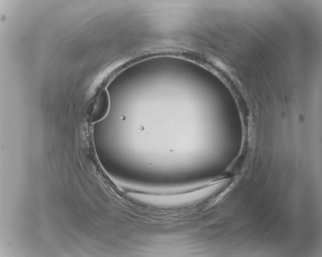 X0000052551453200507291903