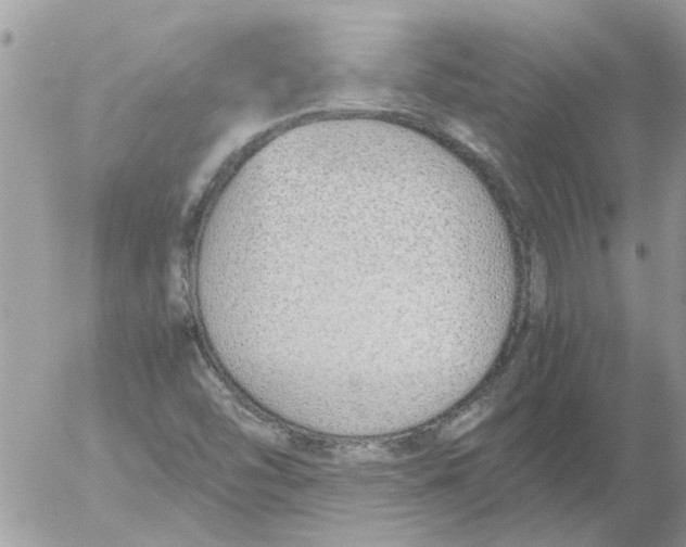 X0000052551454200507291903