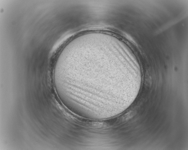 X0000052551456200507291903