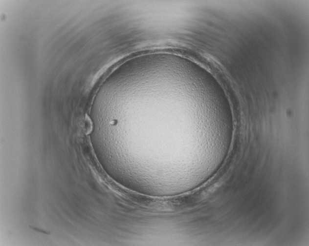 X0000052551457200507291903