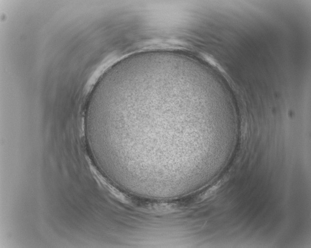 X0000052551459200507291903